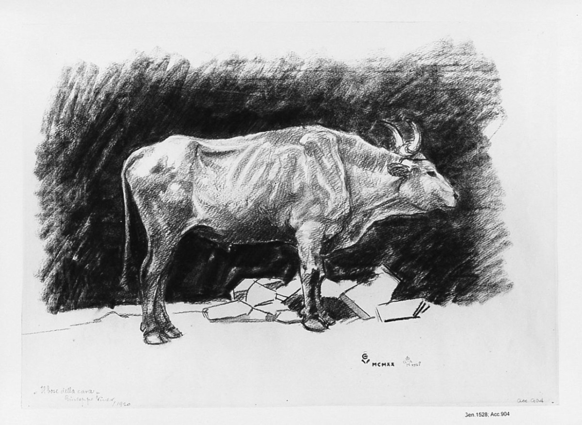 Il bove nella cava, animali (disegno) di Viner Giuseppe (sec. XX)