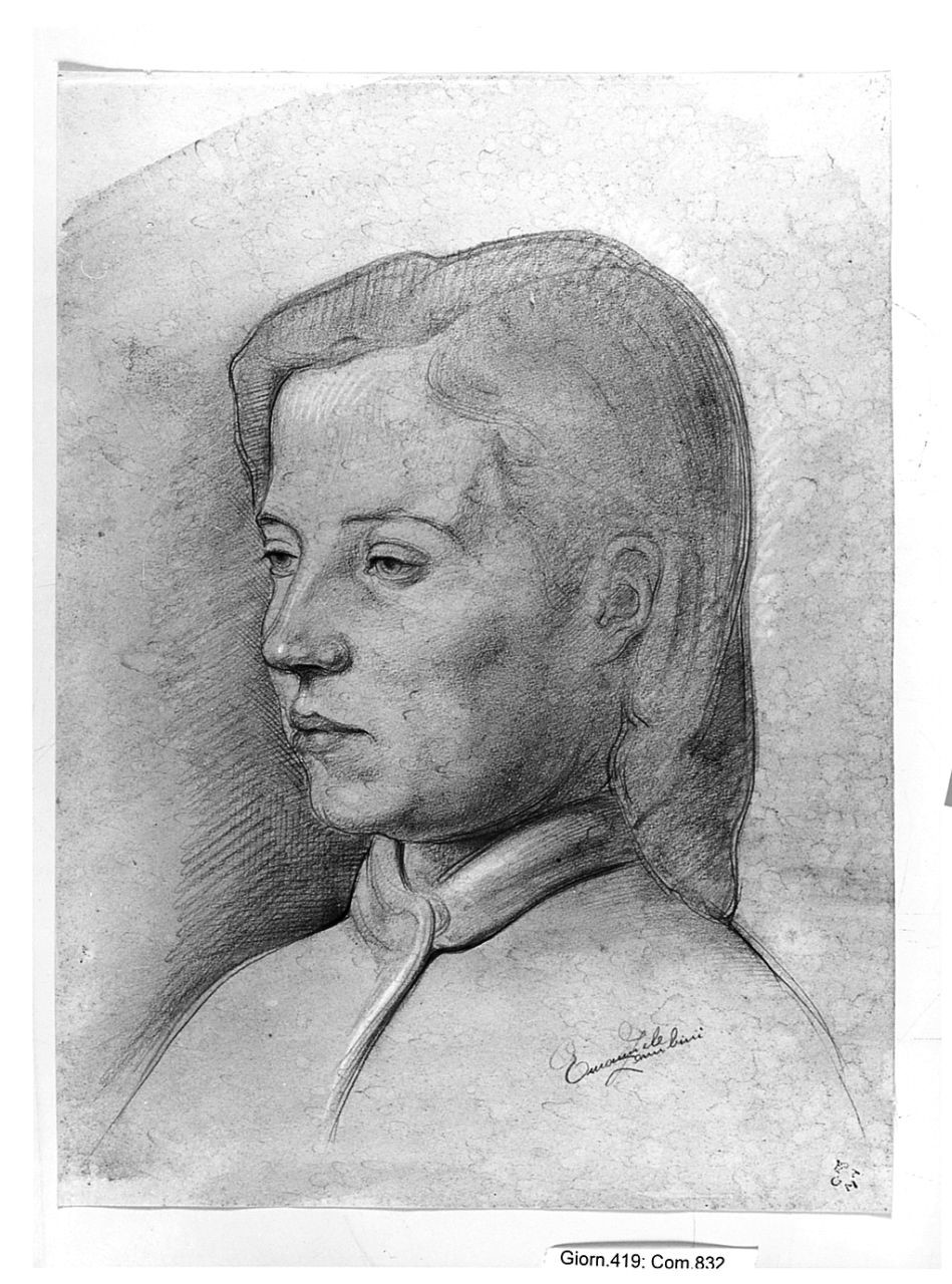 ritratto di donna (disegno) di Zambini Emanuele (sec. XX)