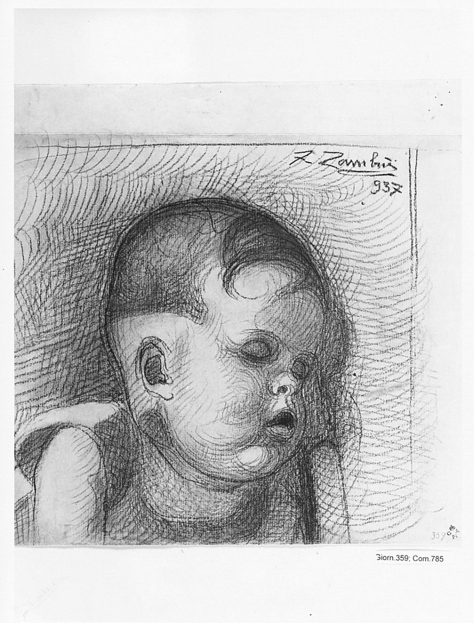 testa di bambino (disegno) di Zambini Ferrante (sec. XX)