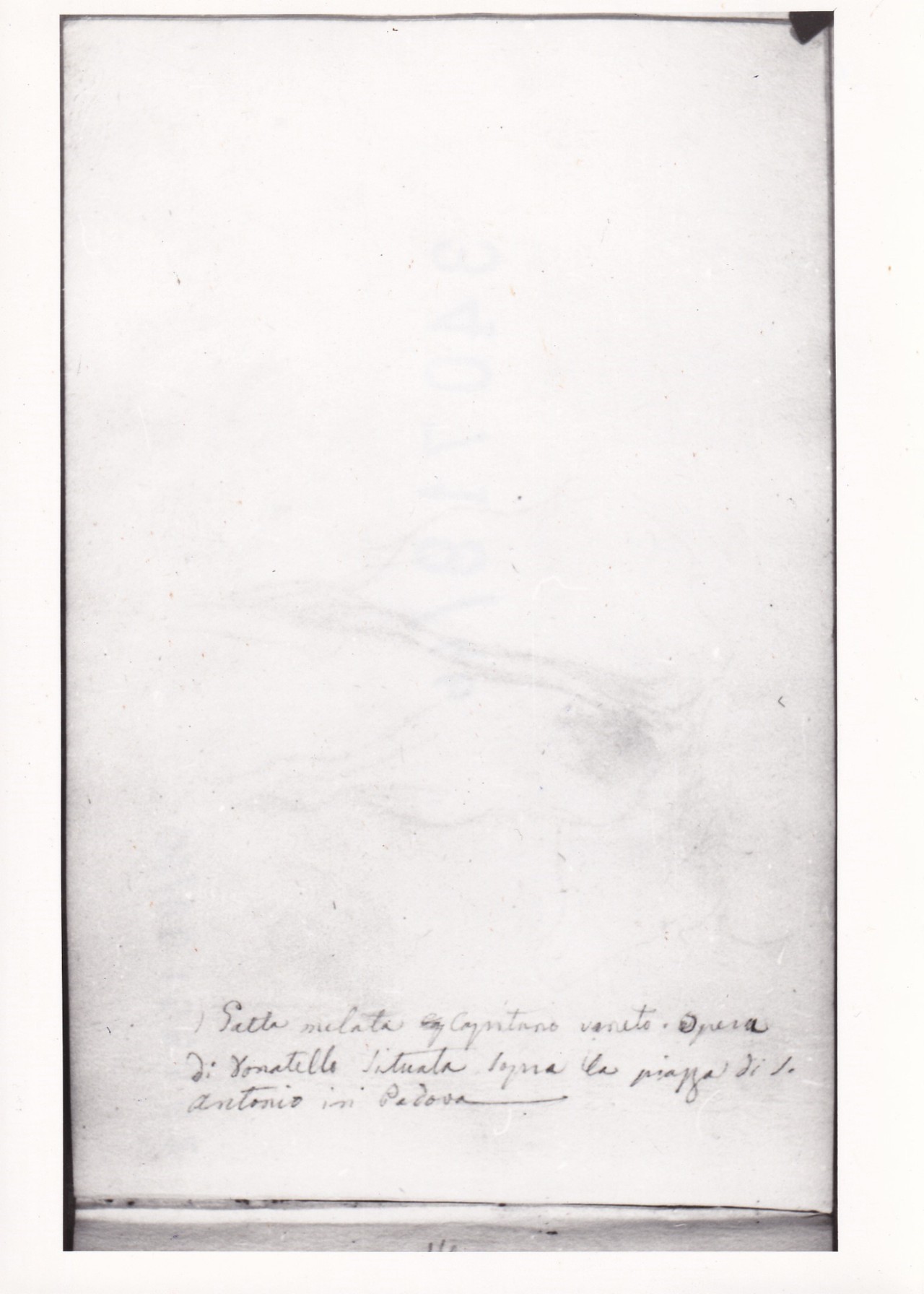 Schizzo sommario con profilo di testa bovina (disegno) di Bezzuoli Giuseppe (sec. XIX)