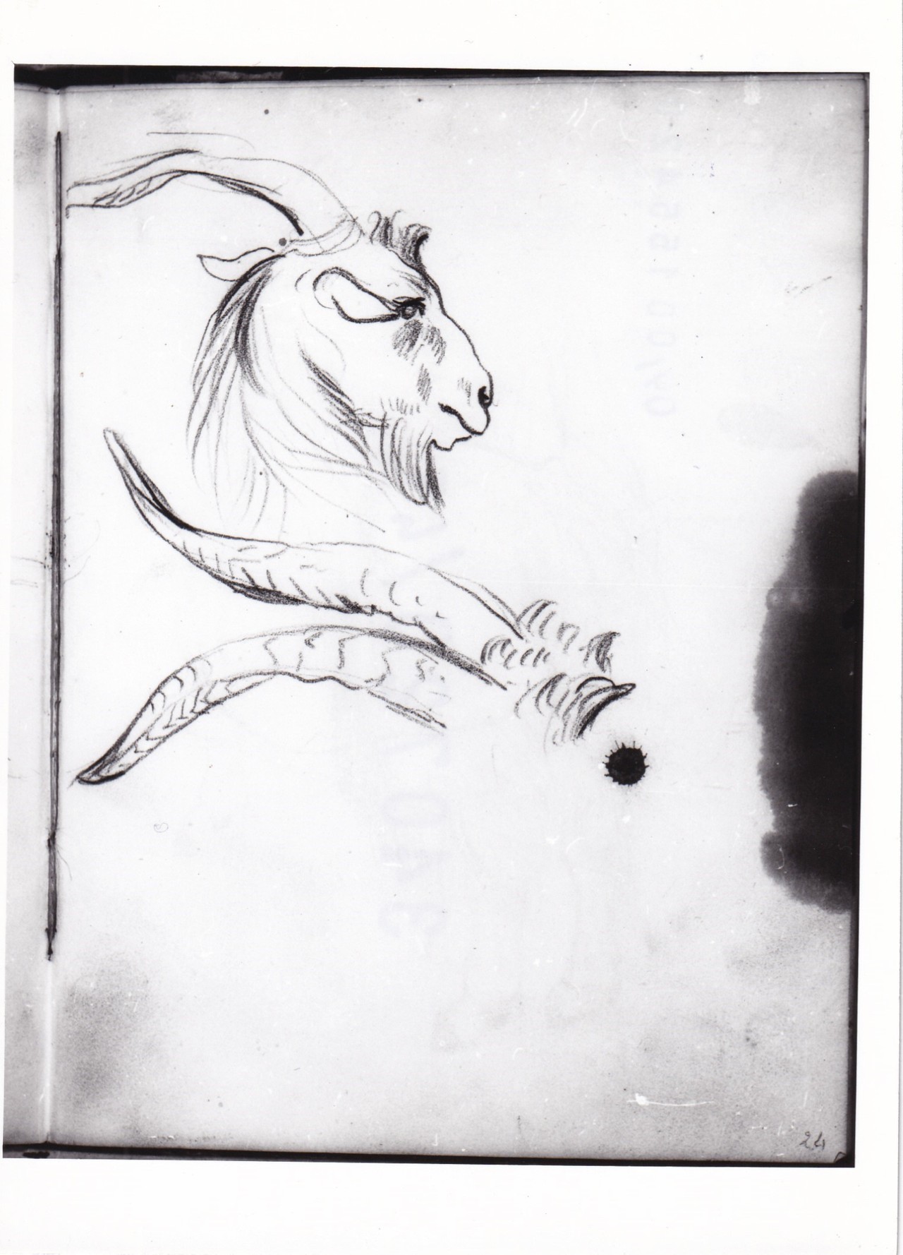 Testa di capra e studio di corno di capra (r.), Asino alla mangiatoia (v.) (disegno) di Bezzuoli Giuseppe (sec. XIX)