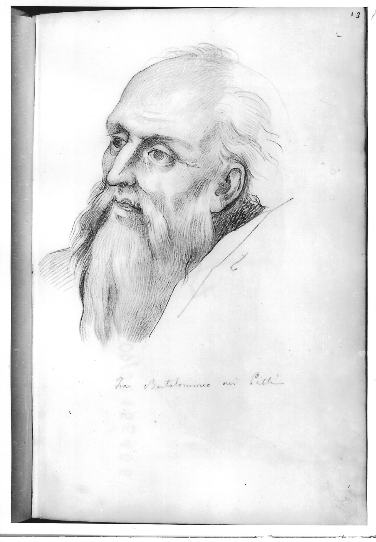 Testa di vecchio barbato (disegno) di Bezzuoli Giuseppe (sec. XIX)