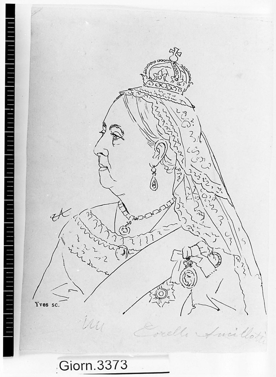 ritratto della Regina Vittoria (disegno) di Ancillotti Torello (ultimo quarto sec. XIX)