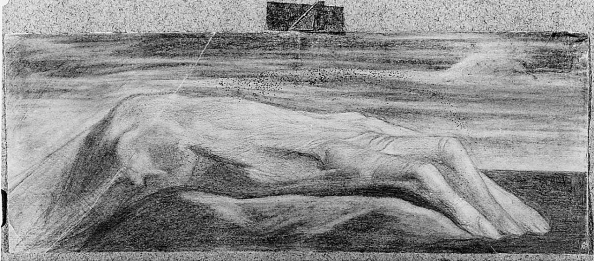 Mano di Voltaire, particolari anatomici (disegno) di Ancillotti Goretti Beatrice (sec. XIX)