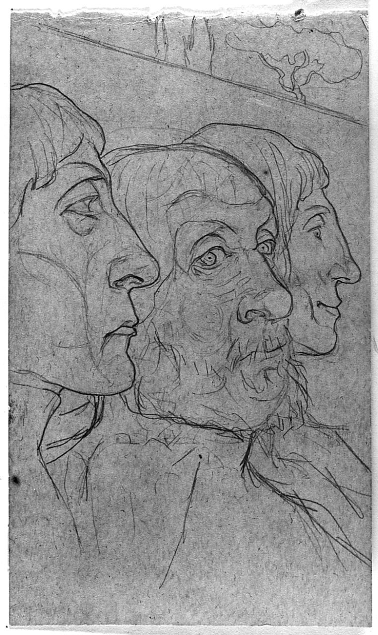 testa d'uomo (disegno) di Ancillotti Goretti Beatrice (sec. XX)