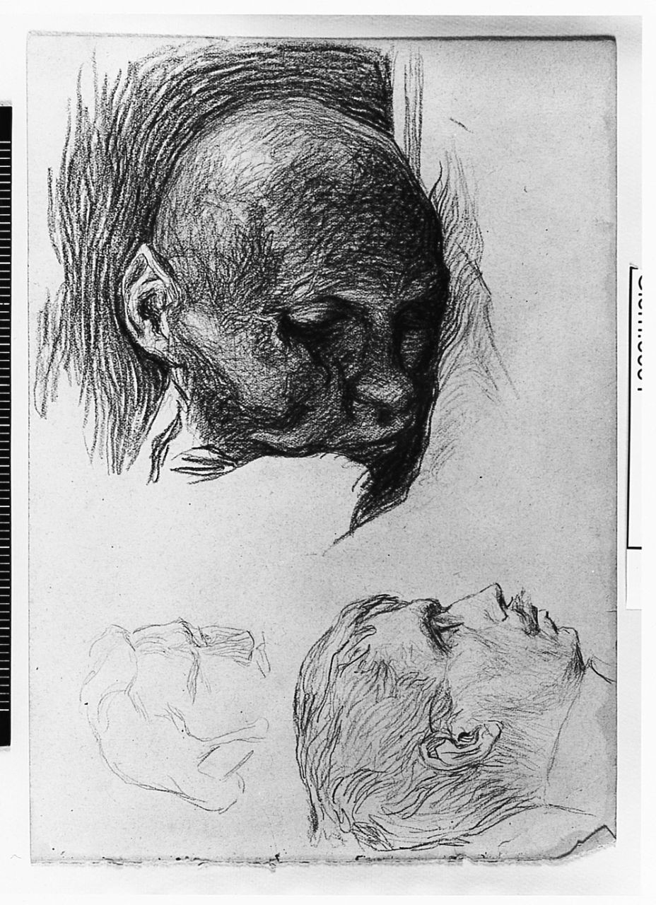 testa d'uomo (disegno) di Ancillotti Goretti Beatrice (sec. XX)