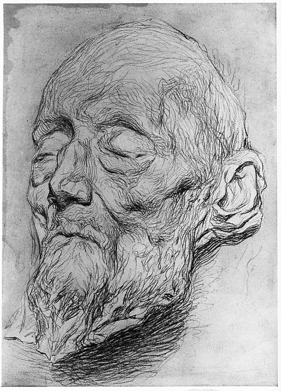 testa d'uomo (disegno) di Ancillotti Goretti Beatrice (sec. XX)