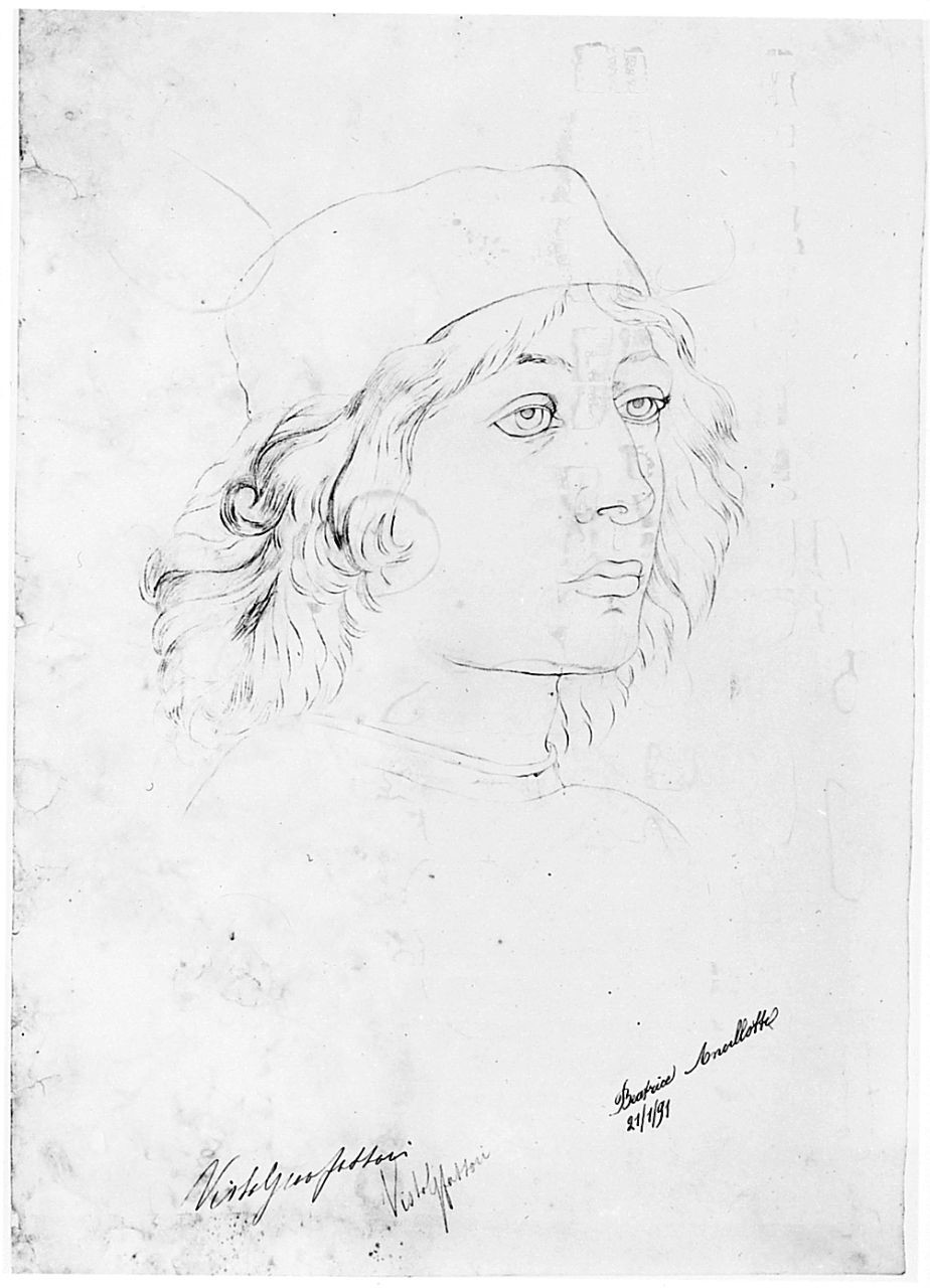 testa di giovane (disegno) di Ancillotti Goretti Beatrice (sec. XIX)
