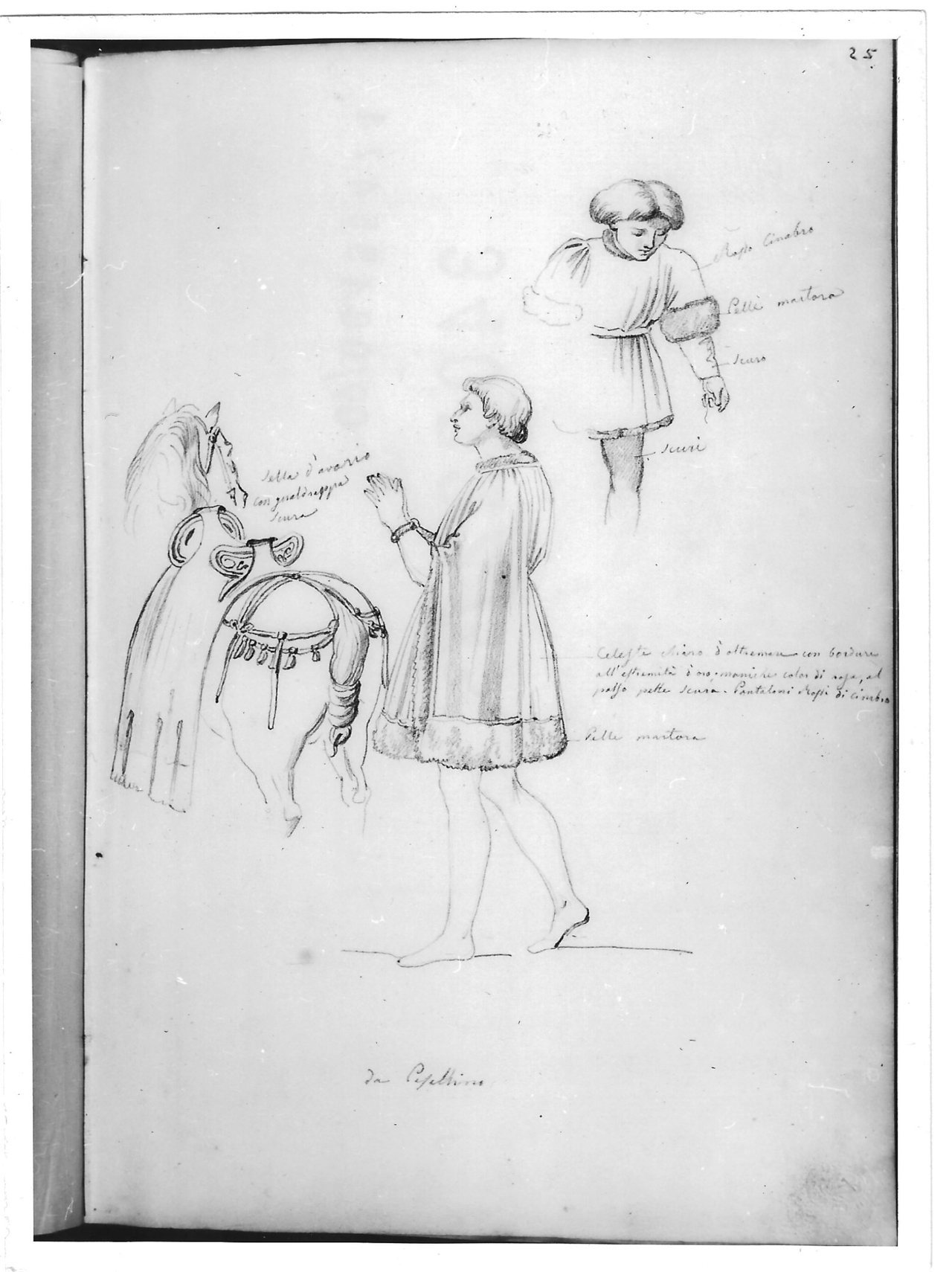 Due studi di figure virili e uno studio di cavallo (disegno) di Bezzuoli Giuseppe (sec. XIX)