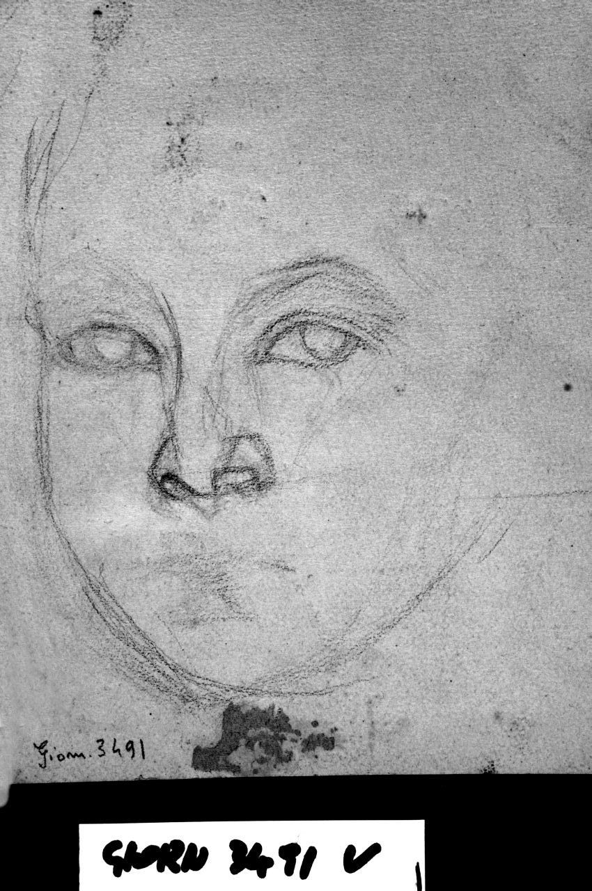 ritratto di giovane (r.), ritratto di giovane (v.) (disegno) di Ancillotti Goretti Beatrice (sec. XX)