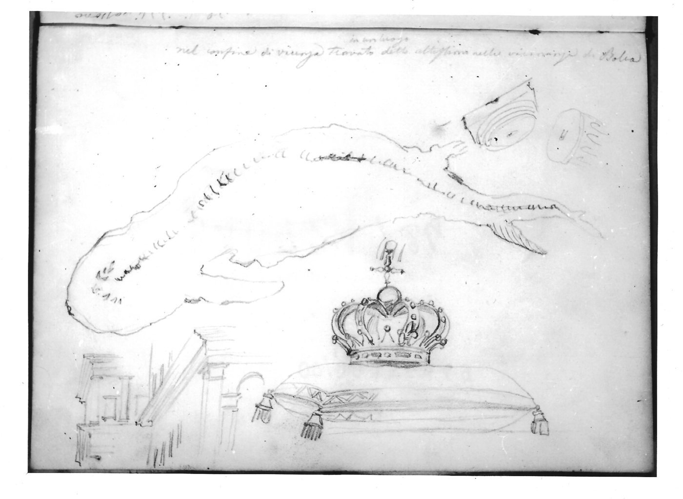 Corona su cuscino; studio di architettura; studio dei resti di un fossile marino; studio di un basamento di colonna (disegno) di Bezzuoli Giuseppe (sec. XIX)