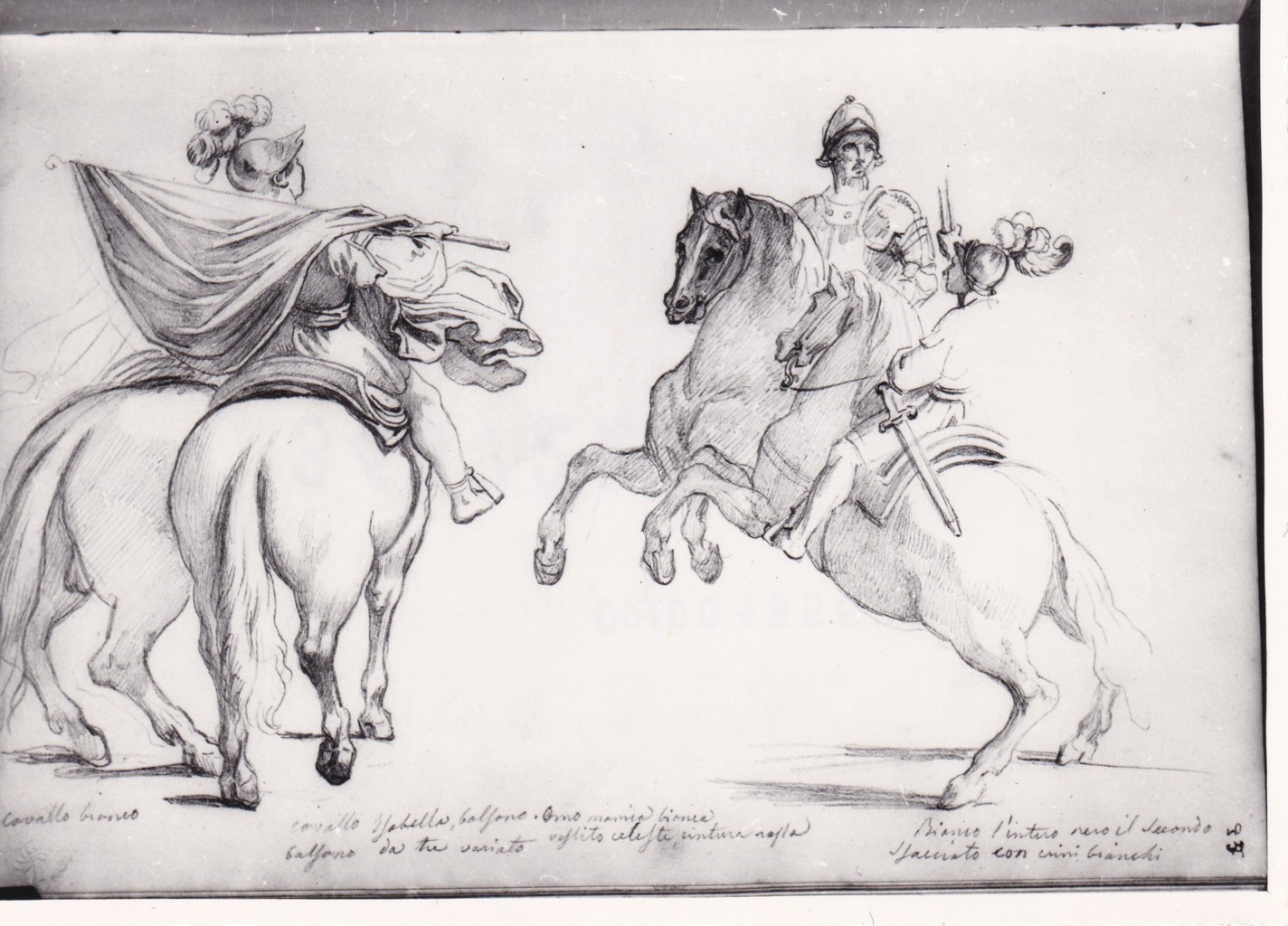 Quattro studi di cavalli con cavalieri in abiti cinquecenteschi (disegno) di Bezzuoli Giuseppe (sec. XIX)