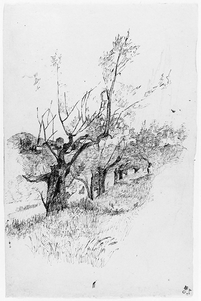 paesaggio collinare (disegno) di Chaplin Elisabeth (sec. XX)