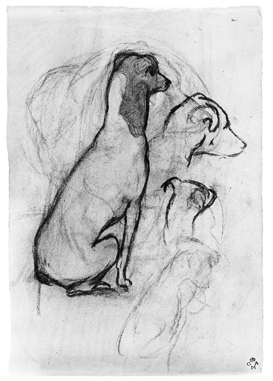 Trotty, animali, figura femminile (disegno) di Chaplin Elisabeth (sec. XX)