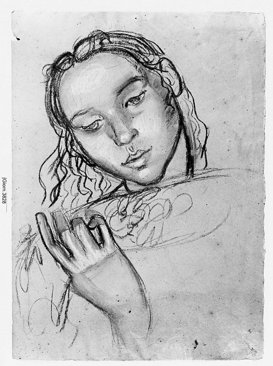 ritratto di giovane (disegno) di Chaplin Elisabeth (sec. XX)