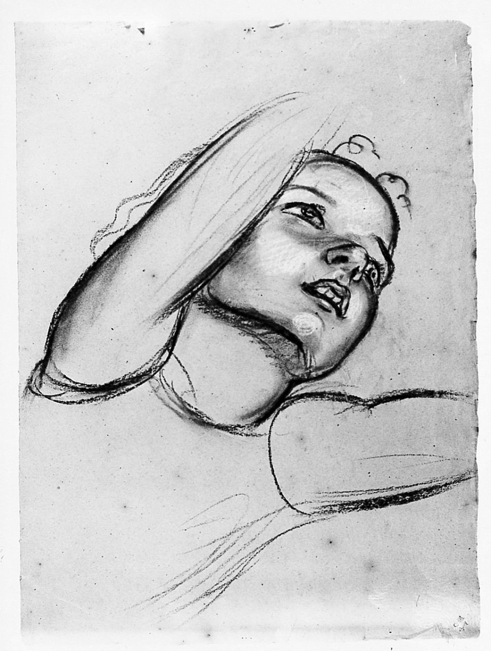 ritratto di giovane (disegno) di Chaplin Elisabeth (sec. XX)