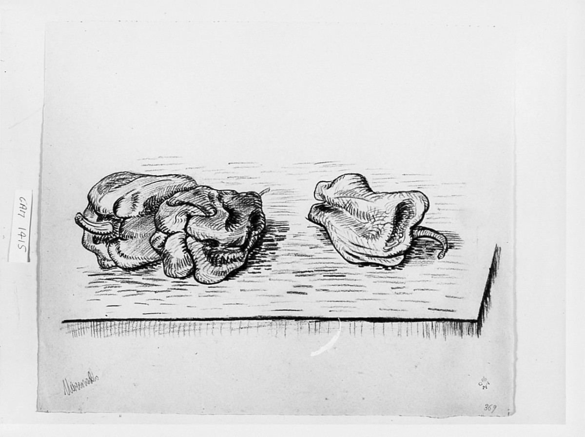 natura morta (disegno) di Marcovaldo Pietro (sec. XX)