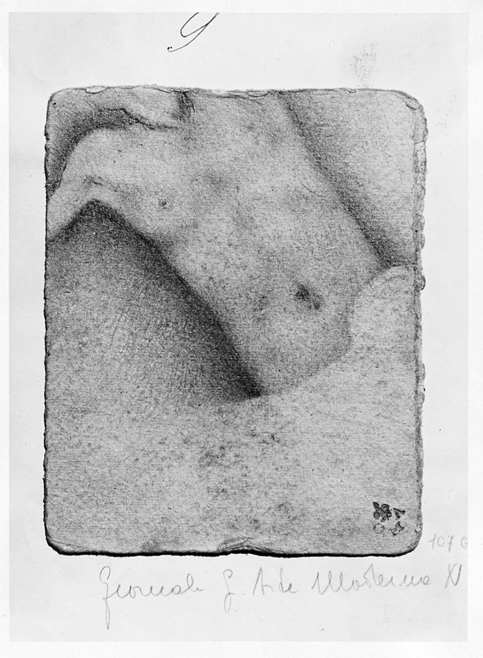 particolari anatomici (disegno) di Boncinelli Evaristo (sec. XX)