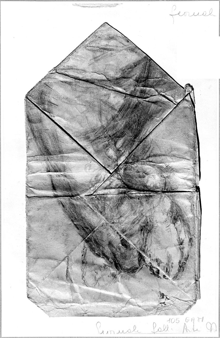 particolari anatomici (disegno) di Boncinelli Evaristo (sec. XX)