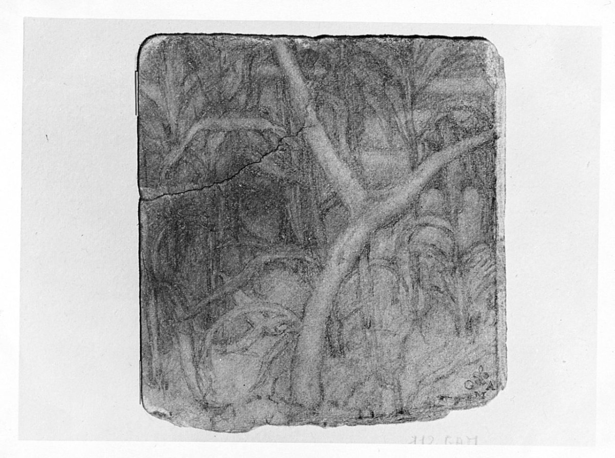 paesaggio con alberi (disegno) di Boncinelli Evaristo (sec. XX)