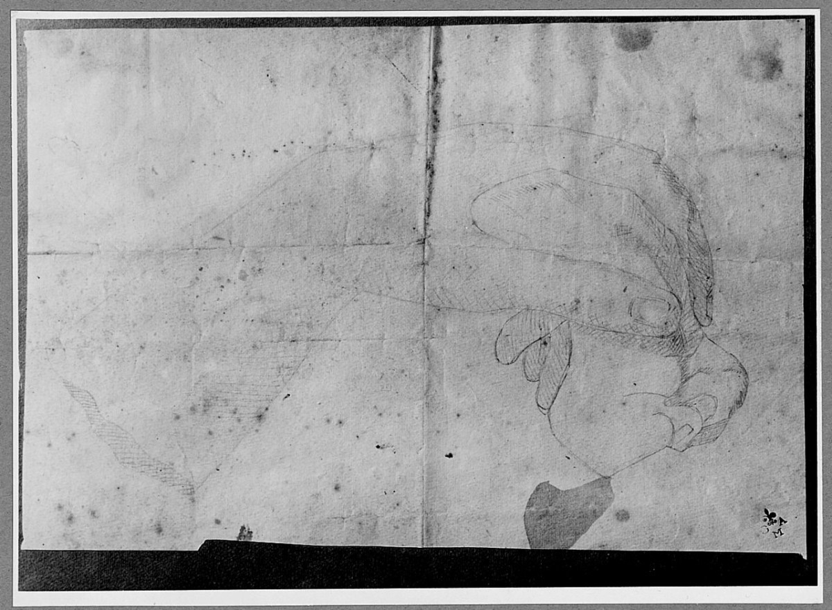 particolari anatomici (disegno) di Boncinelli Evaristo (sec. XX)