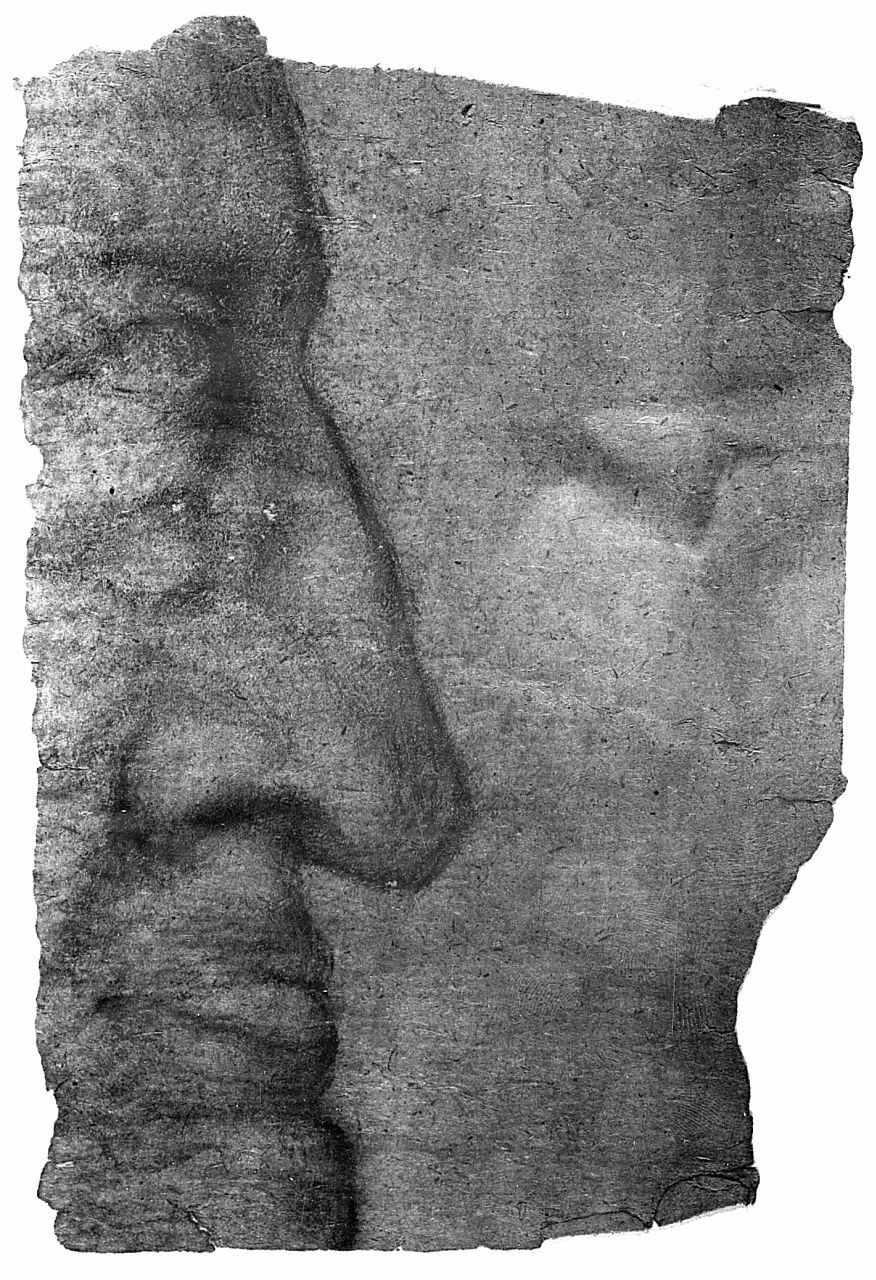 testa d'uomo di profilo (disegno) di Boncinelli Evaristo (sec. XX)