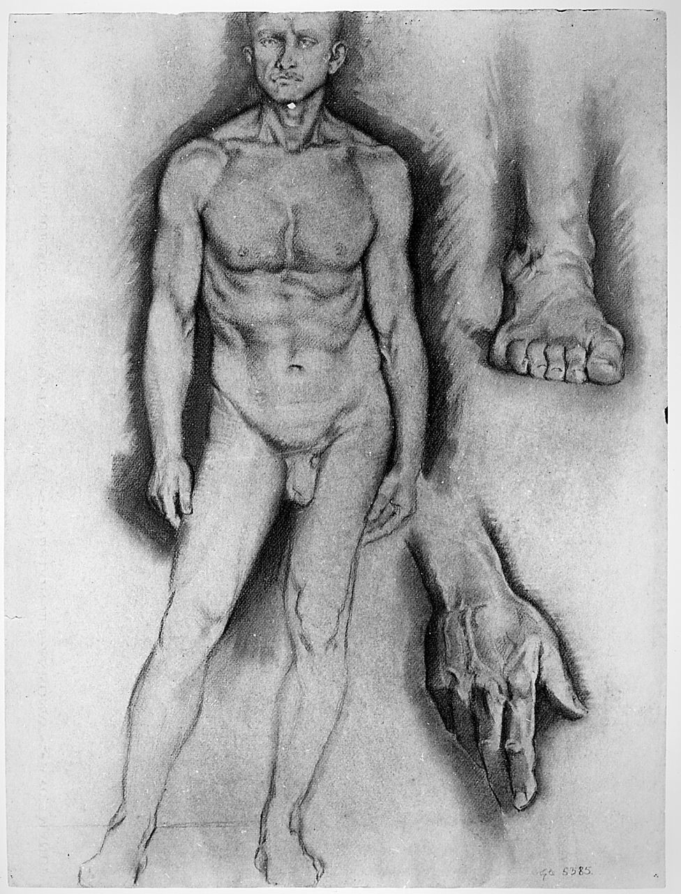 figura maschile (r.), figura femminile (v.) (disegno) di Boncinelli Evaristo (sec. XX)