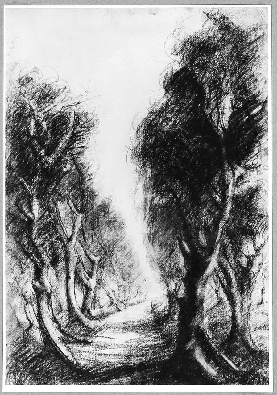 paesaggio con alberi (disegno) di Bottero Taffiorelli Elisa (sec. XX)