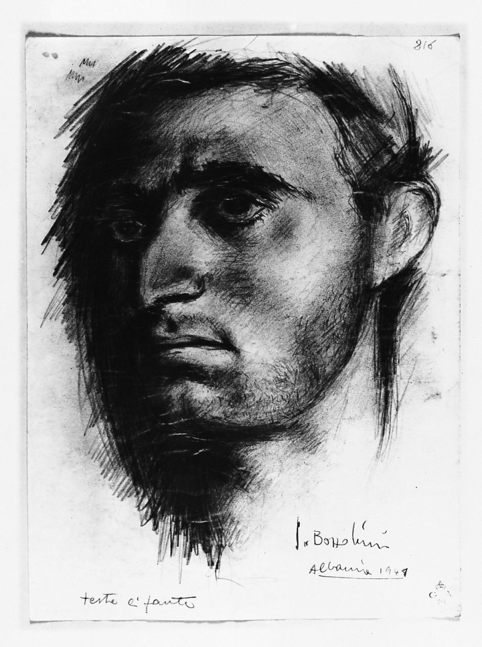 testa d'uomo (disegno) di Bozzolini Silvano (sec. XX)