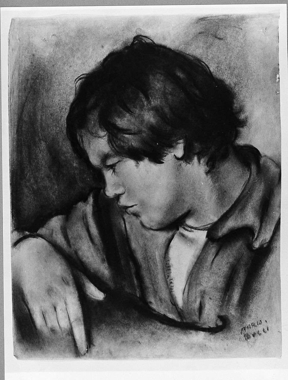 giovane donna di profilo (disegno) di Bucci Mario (sec. XX)