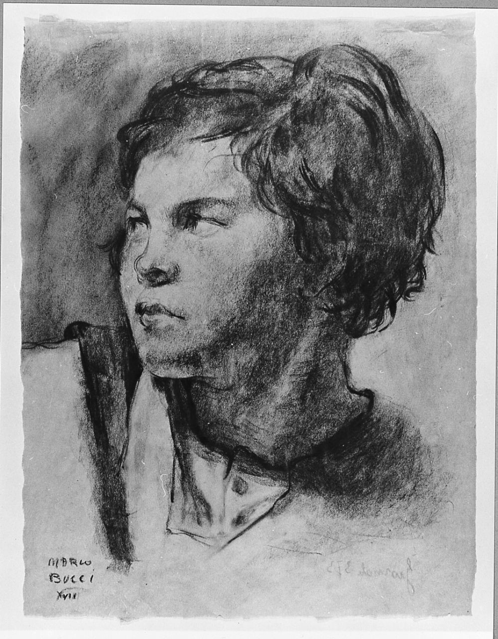 ritratto di donna (disegno) di Bucci Mario (sec. XX)