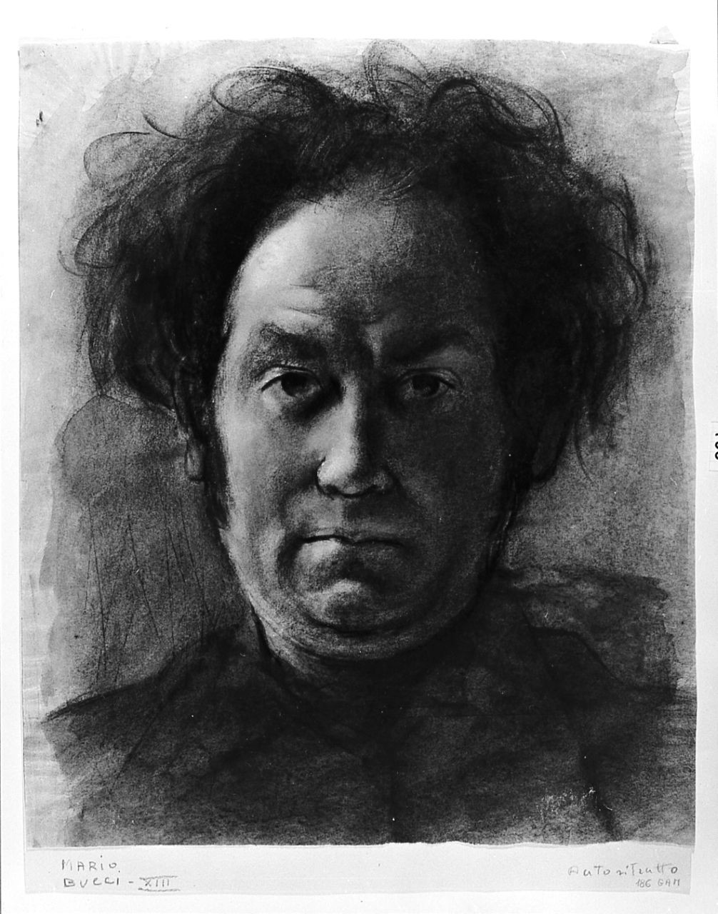 auroritratto di Mario Bucci (disegno) di Bucci Mario (sec. XX)