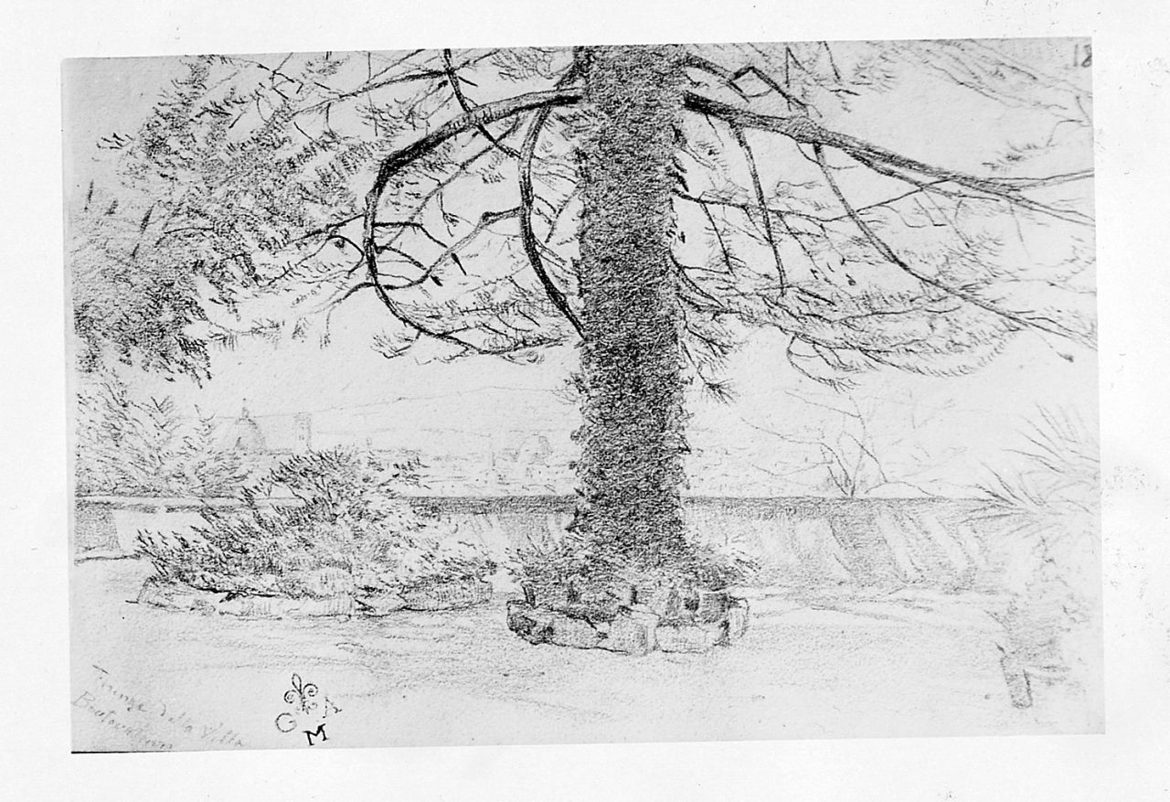 paesaggio (disegno) di Borrani Odoardo (sec. XIX)