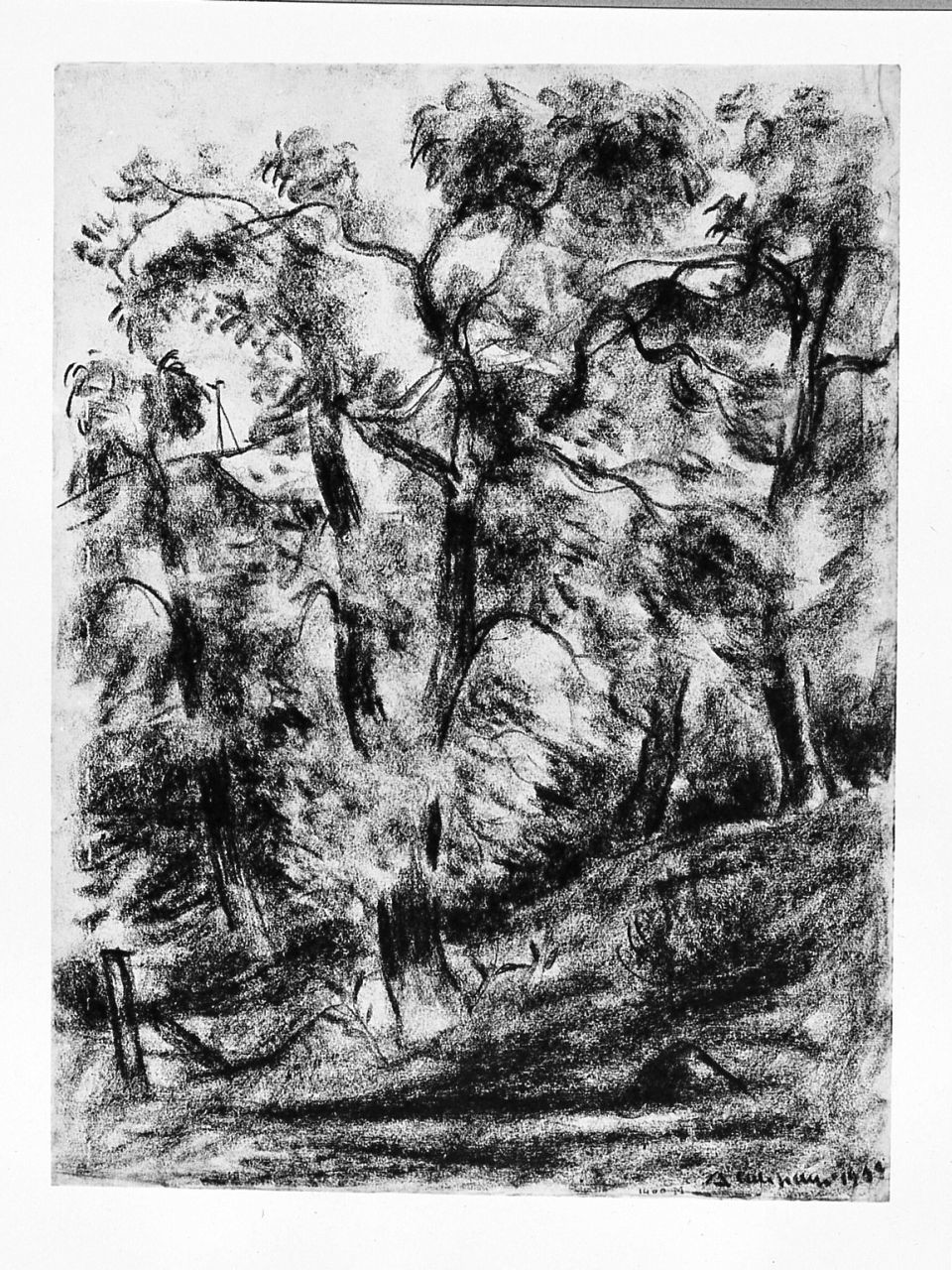 Sole nel bosco, paesaggio (disegno) di Caligiani Alberto (sec. XX)