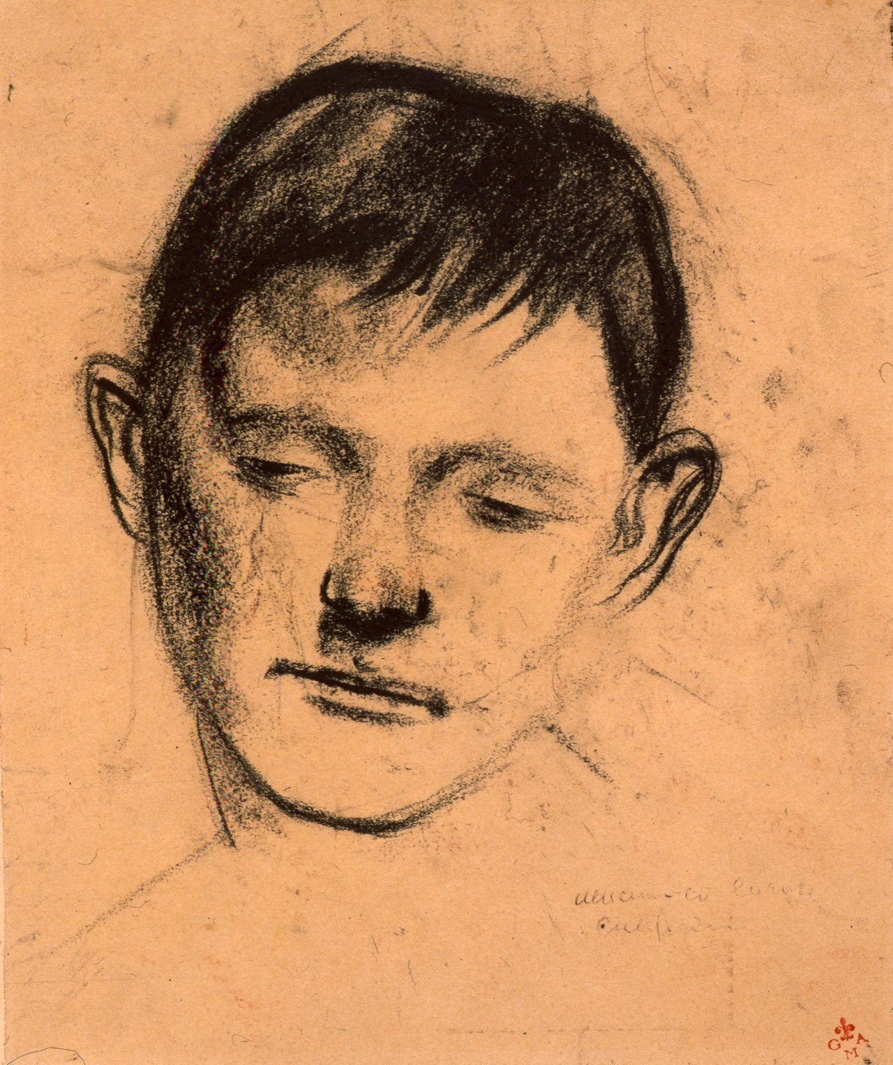 ritratto di giovane (disegno) di Caligiani Alberto (sec. XX)