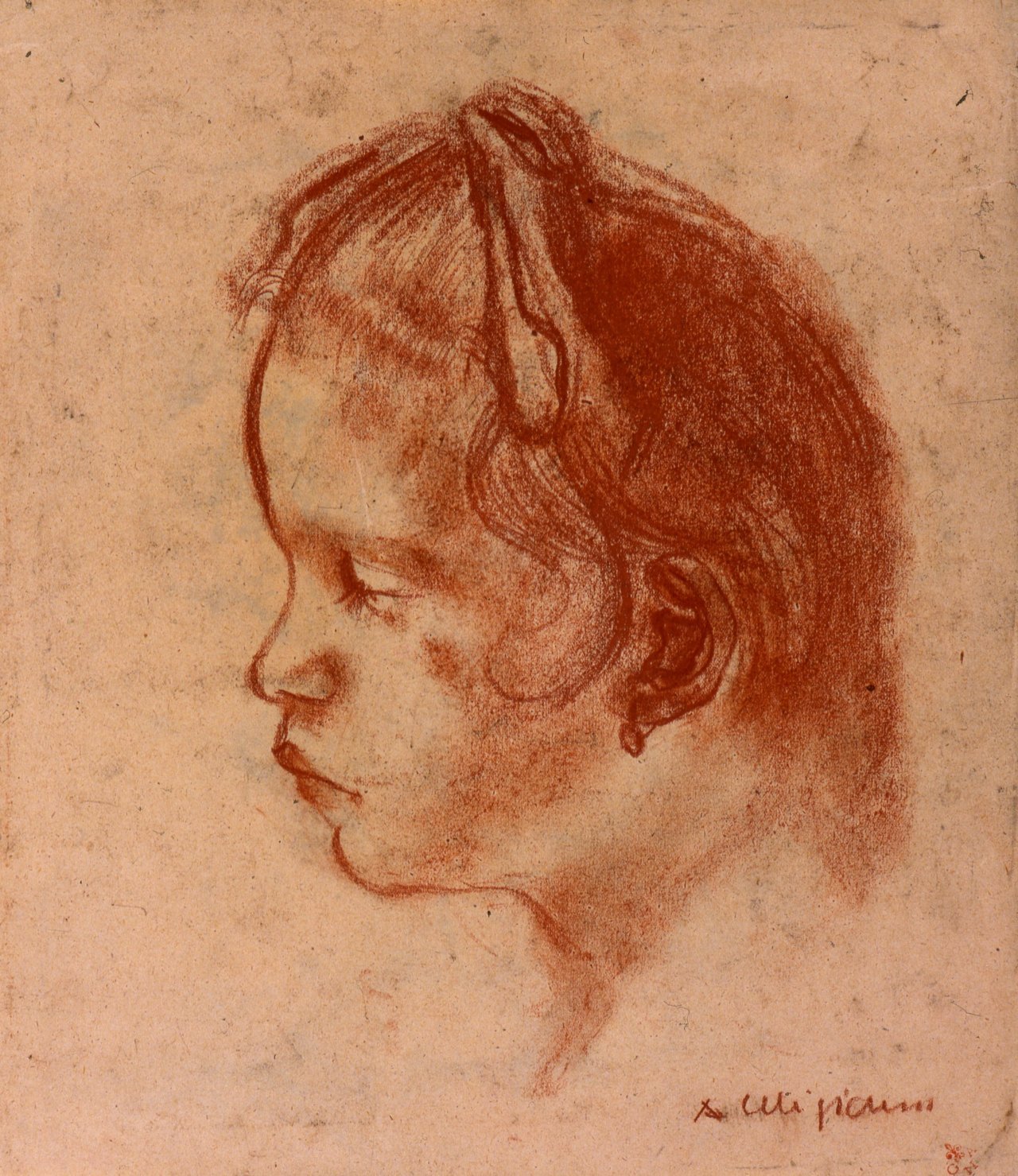 ritratto di giovane donna (disegno) di Caligiani Alberto (sec. XX)