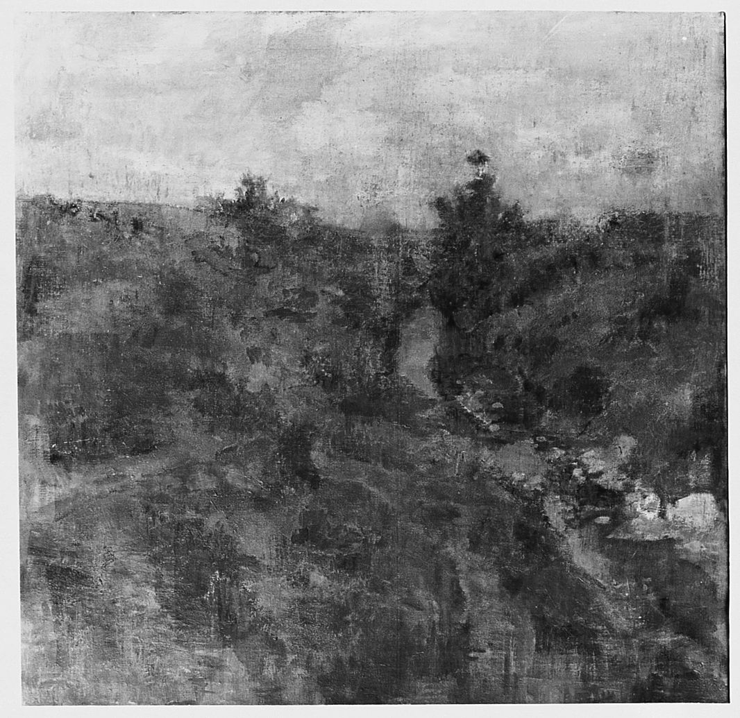 Ruscello in primavera, paesaggio con ruscello (dipinto) di De Witt Antonio Paolo (sec. XIX)