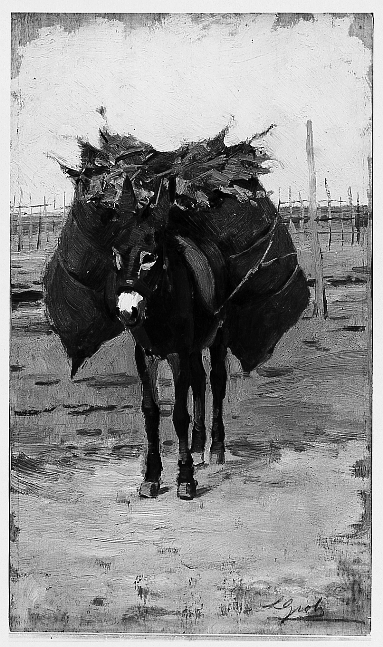 L'asinello, asino (dipinto) di Gioli Luigi (sec. XIX)