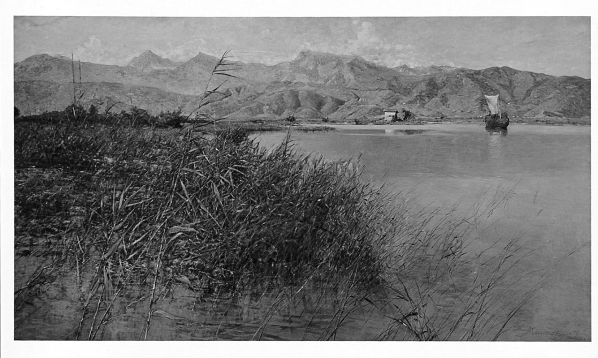 Il lago di Massaciuccoli, paesaggio lacustre (dipinto) di Tommasi Lodovico (sec. XIX)