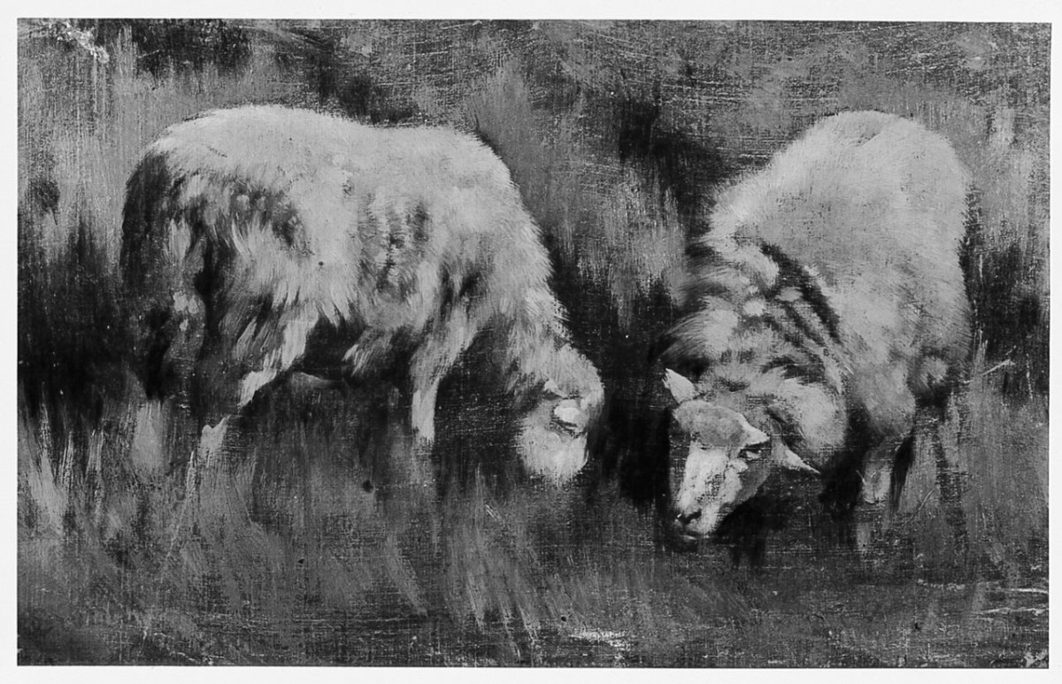 animali (dipinto) di Bruzzi Stefano (seconda metà sec. XIX)