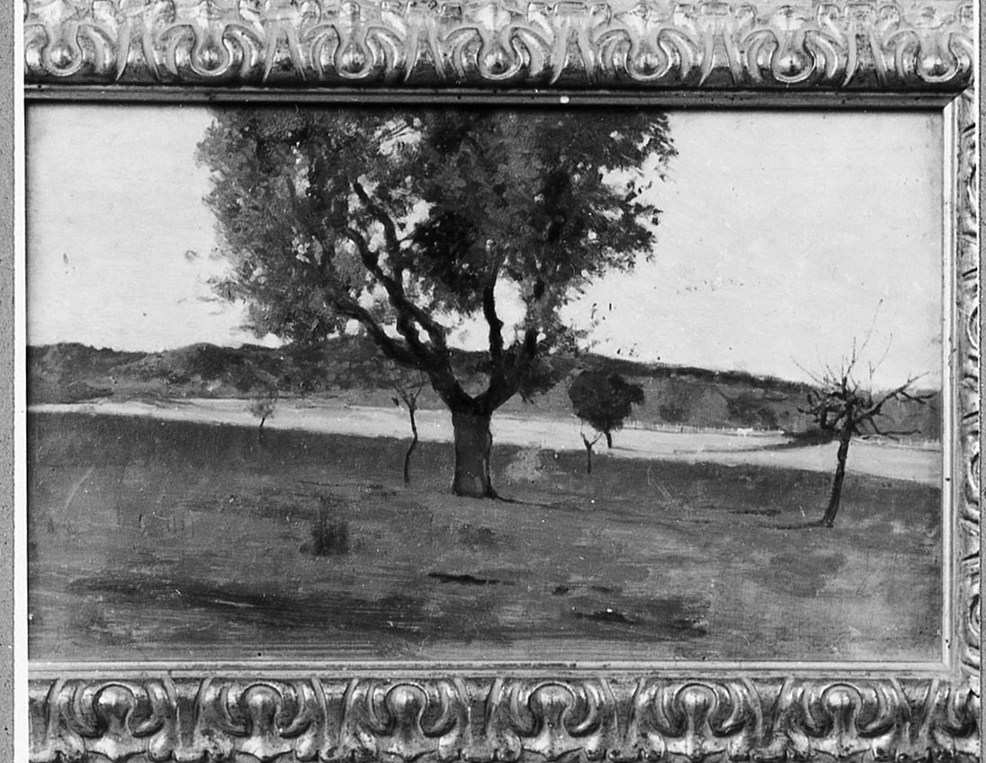 Scena maremmana, paesaggio (dipinto) di Cecconi Eugenio (sec. XX)