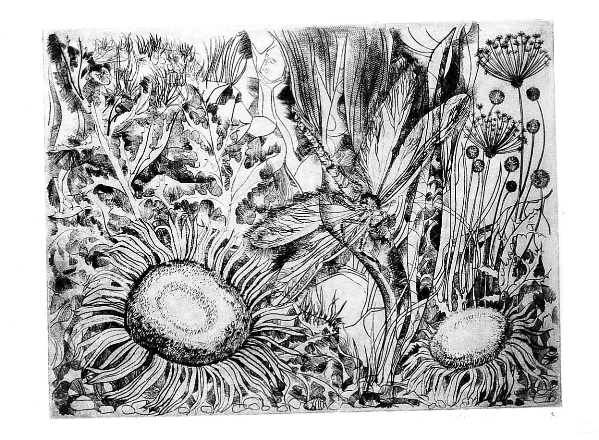 fiori (stampa) di Ellinkhuizen Bertus van (sec. XX)