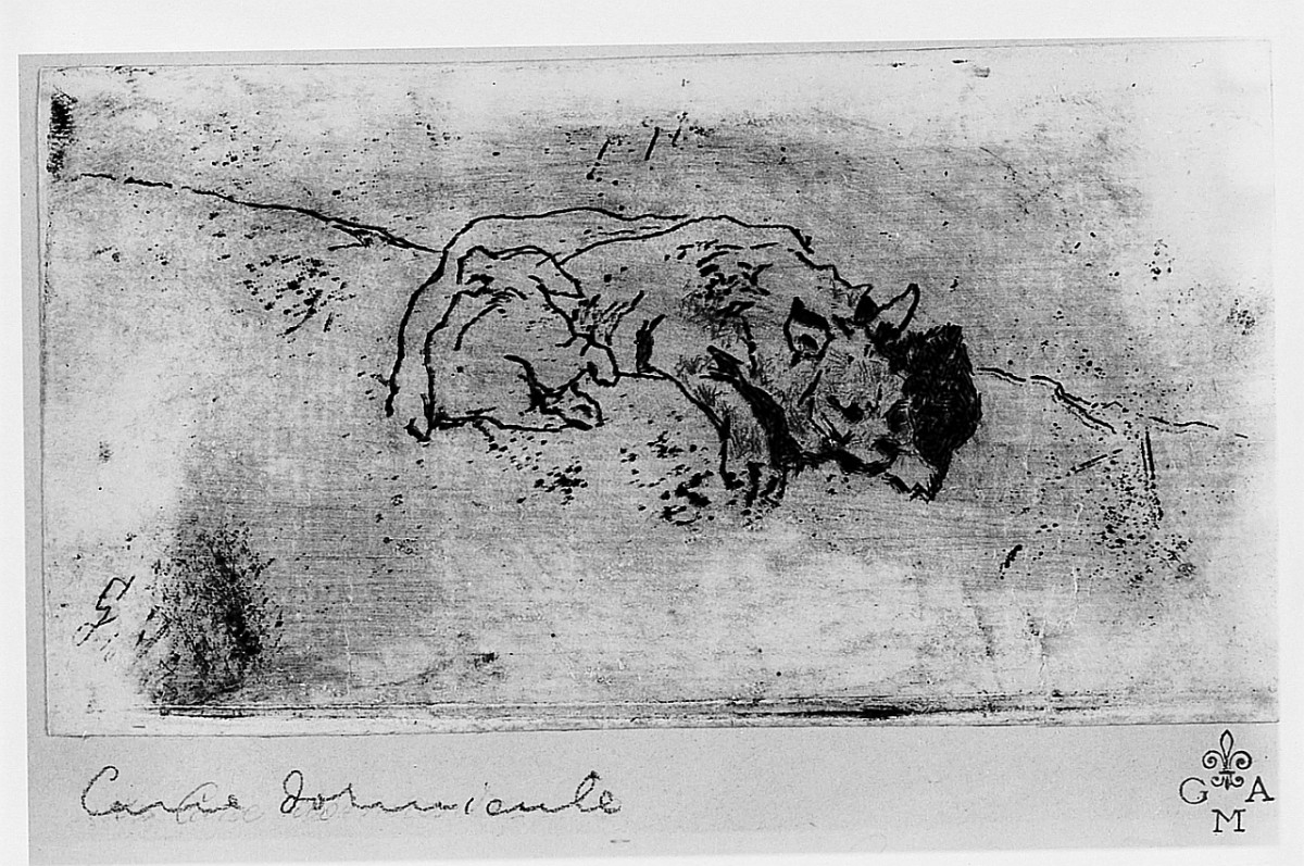 cane (stampa) di Fattori Giovanni (secc. XIX/ XX)