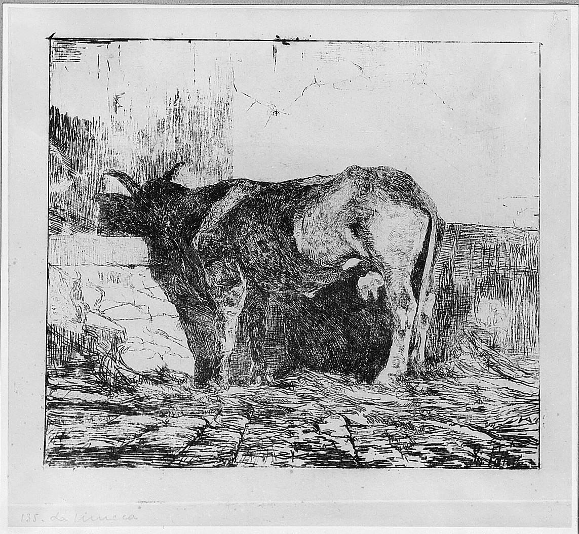 animali (stampa) di Fattori Giovanni (sec. XIX)