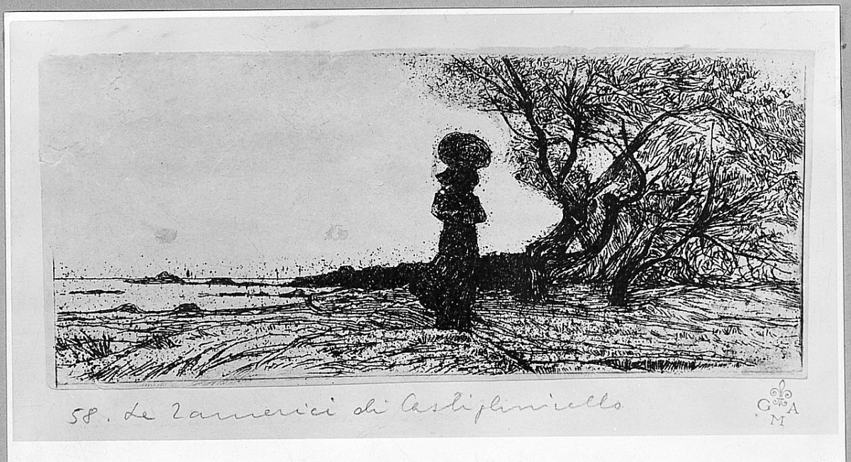 paesaggio (stampa) di Fattori Giovanni (sec. XIX)