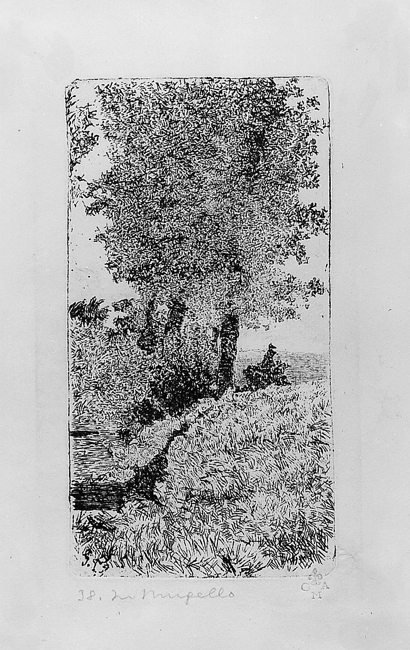 paesaggio (stampa) di Fattori Giovanni (sec. XX)