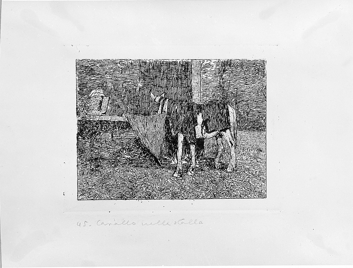 cavallo (stampa) di Fattori Giovanni (sec. XIX)