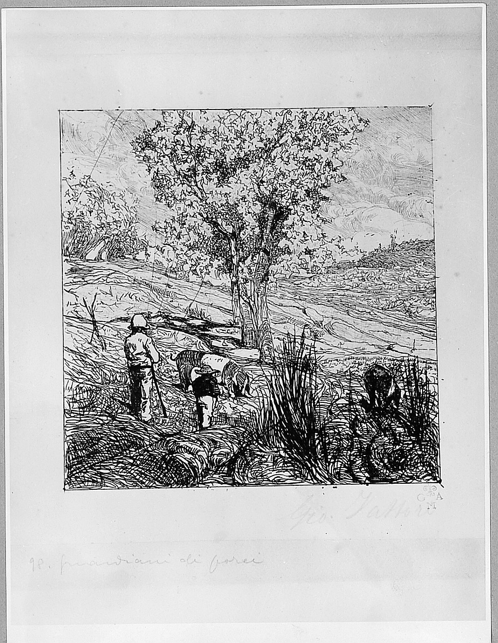 scena campestre (stampa) di Fattori Giovanni (sec. XX)