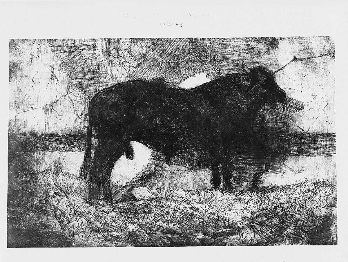 animali (stampa) di Fattori Giovanni (sec. XIX)