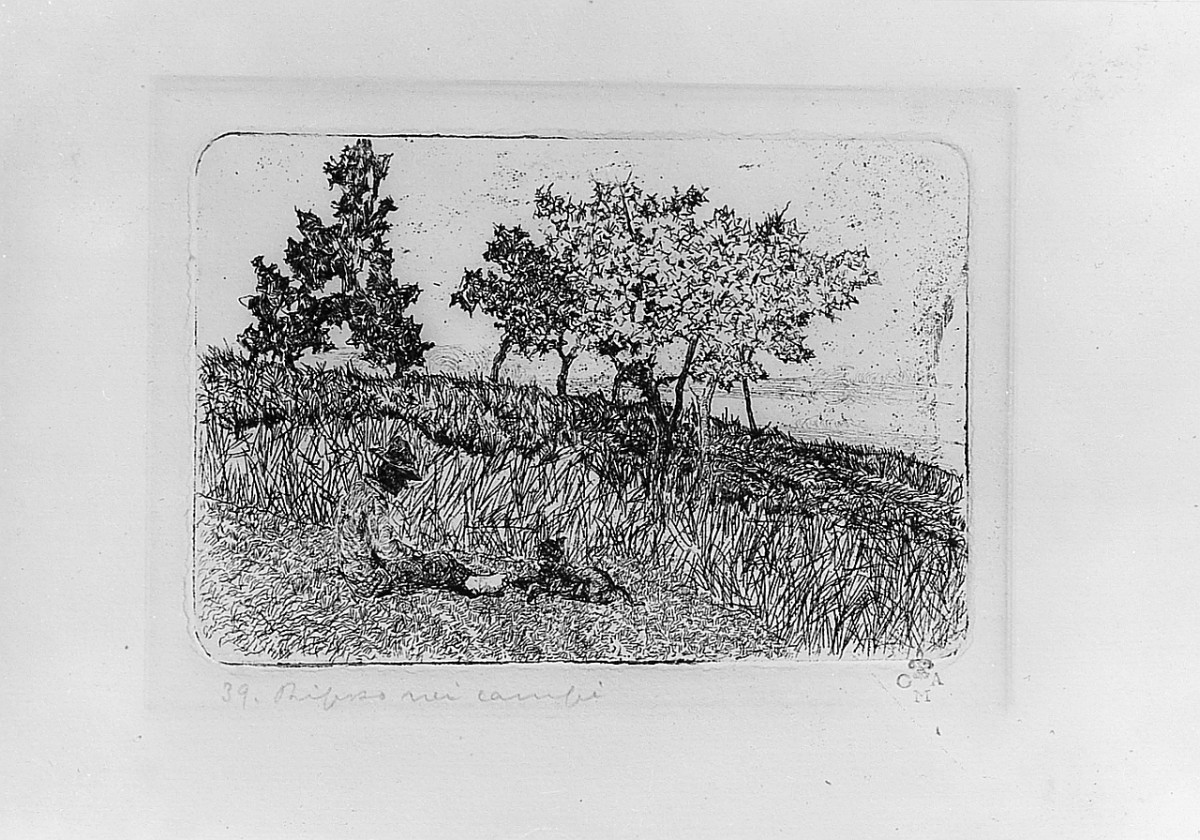 scena campestre (stampa) di Fattori Giovanni (sec. XX)